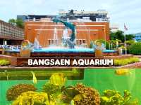 สำรวจโลกใต้ทะเลที่ Bangsaen Aquarium 🐠