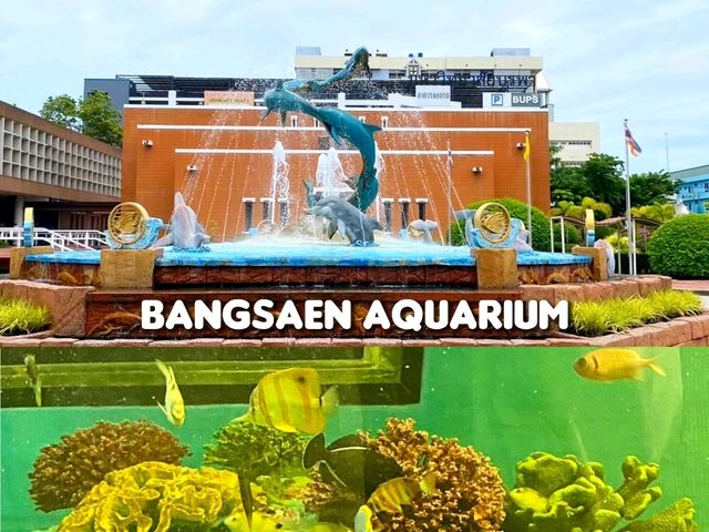 สำรวจโลกใต้ทะเลที่ Bangsaen Aquarium 🐠
