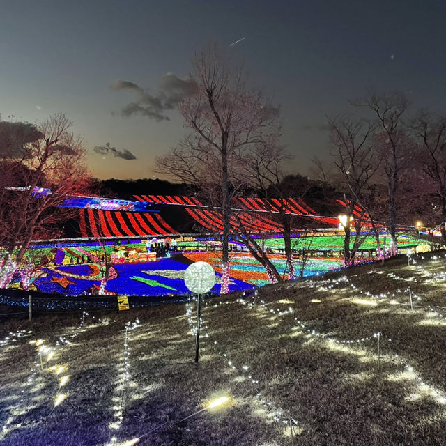 東京ドイツ村・ウィンターイルミネーション🎄