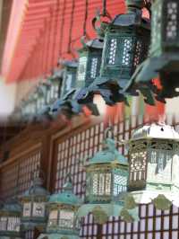 Spring Serenity at Kasuga Taisha: Where History Meets Nature
