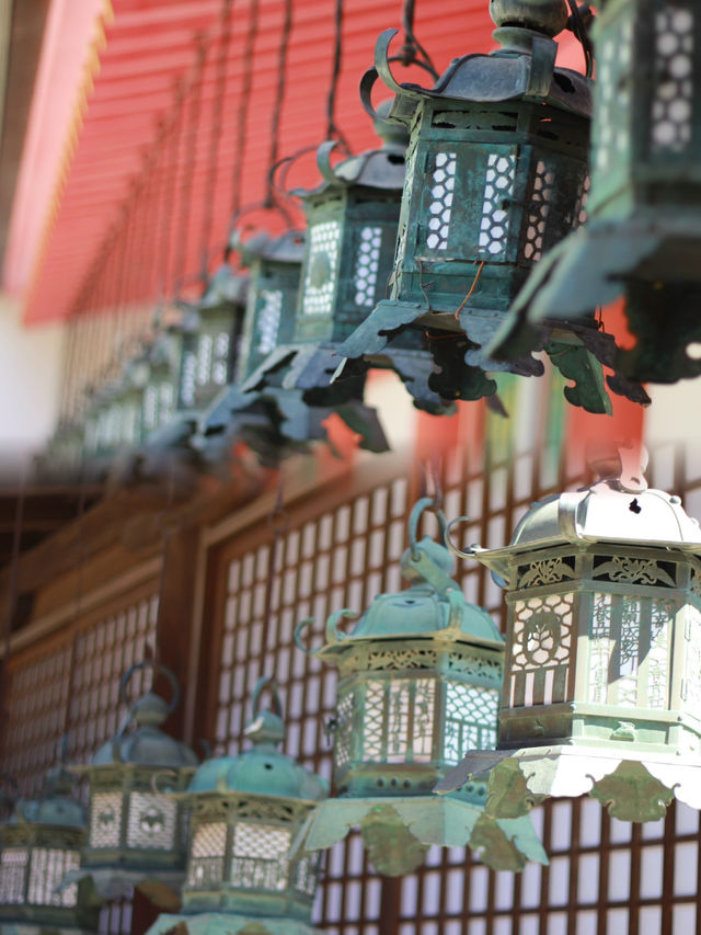 Spring Serenity at Kasuga Taisha: Where History Meets Nature