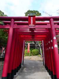 CMで話題となった光の道  3つの日本一がある神社