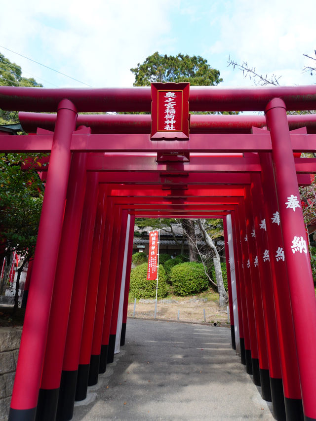 CMで話題となった光の道  3つの日本一がある神社
