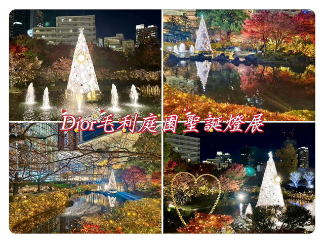 Dior毛利庭園聖誕燈展-隱藏於東京中心的白金聖誕樹