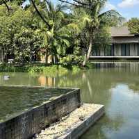 ที่พักธรรมชาติลับๆ ตรงข้ามเมกา บางนา🍃
