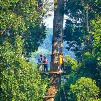 ไปเล่น zipline ที่น้ำตกตาดฟาน ประเทศลาว
