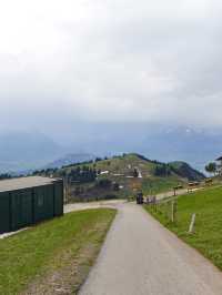🇨🇭搭齒軌列車到山頂🏞️🏔️