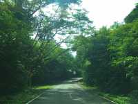 เดินชมธรรมชาติ และเขาหินปูนที่ อุทยานหินเขางู