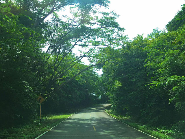 เดินชมธรรมชาติ และเขาหินปูนที่ อุทยานหินเขางู