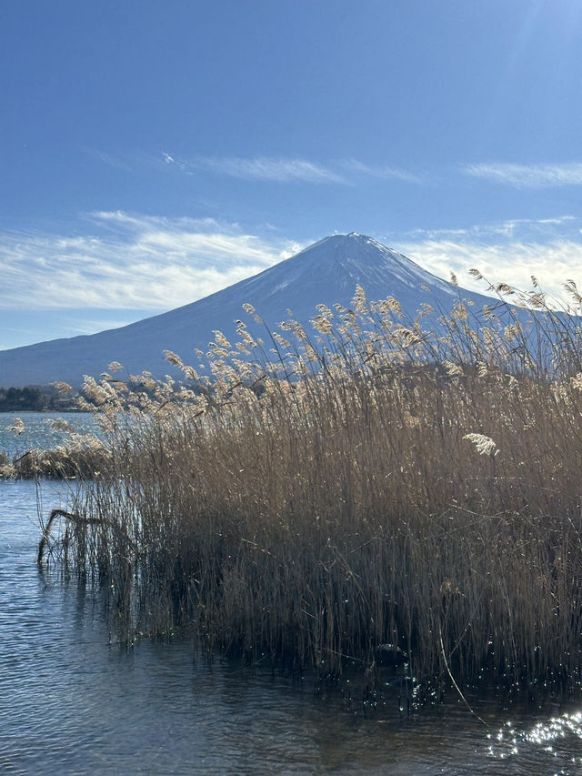 🇯🇵河口湖大石公園 🏔️睇住富士山嘆美食🍦