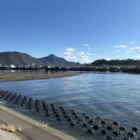 絶対行くべし！沼津深海水族館！