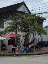 Laid-back Life in Luang Prabang