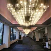 🩶The Silver Suite🩶