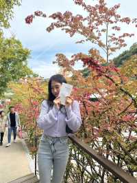 단풍 나들이 명소!