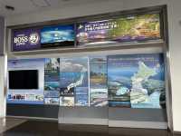 北海道苫小牧。3つのフェリー会社のターミナル『苫小牧西港フェリーターミナル』