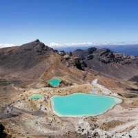 Conquering Tongariro Alpine Crossing: A Hiker’s Dream in New Zealand