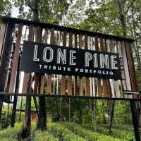 Lone Pine Boutique Hotel by The Beach