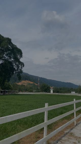 Enjoy the farm milk view while feeding cute animals 