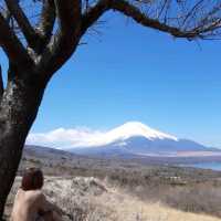 Japan Road Trip ตามหาฟูจิซัง