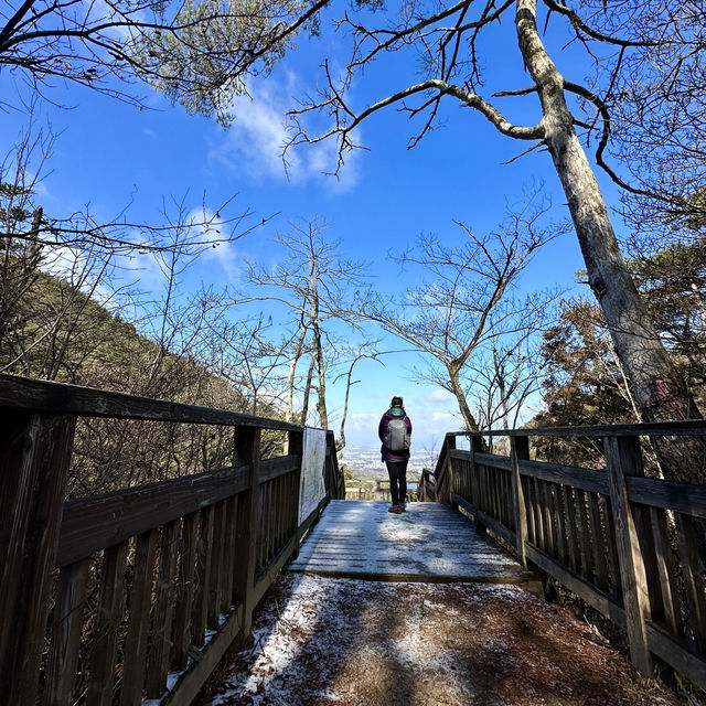 🇯🇵漫步有馬溫泉療癒之森🌲