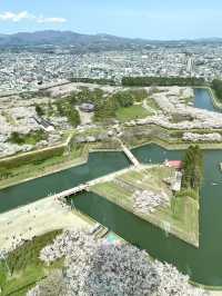 Goryokaku Park: A Star-Shaped Haven