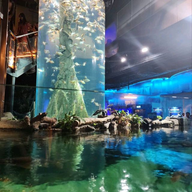 รีวิว Aquaria KLCC กัวลาลัมเปอร์
