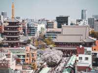 春の隅田川🌸桜並木と東京の風景を楽しむひととき