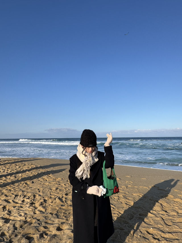 강원도 바다 여행, 강릉 핫플 ‘안목해변, 사근진해변‘