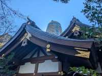 出世の階段で超有名👀 【愛宕神社】