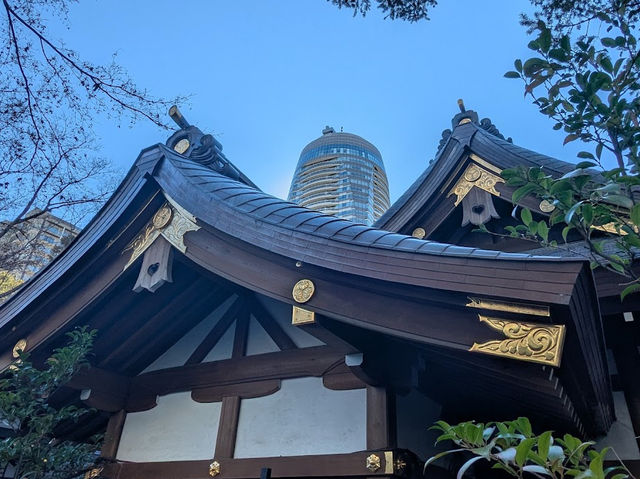 出世の階段で超有名👀 【愛宕神社】