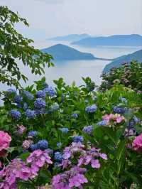 【浦島伝説になった場所】