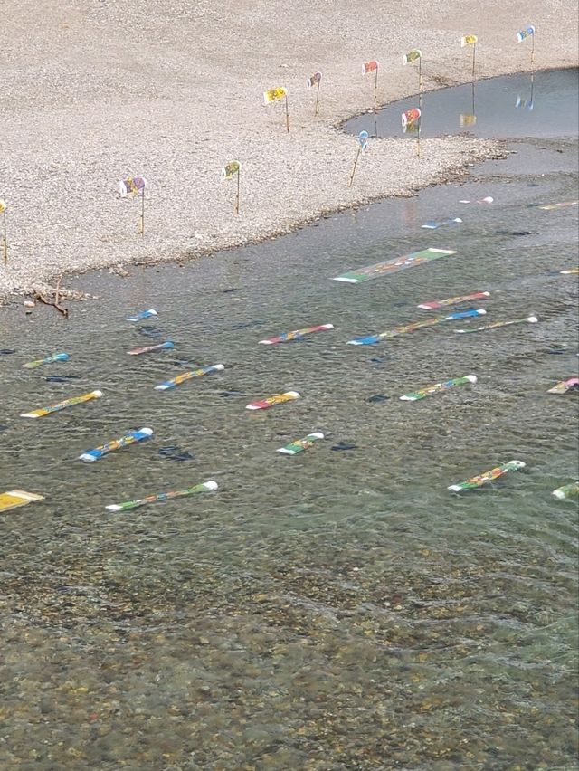 【のぼり鯉は水の中も泳ぐ】