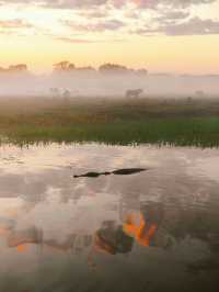 Kakadu National Park: A UNESCO Heritage Jewel