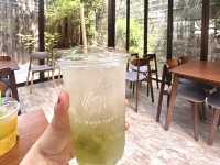 🍹 The wood Land 🍹