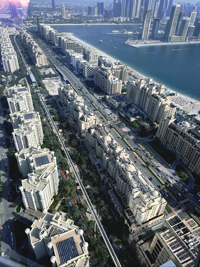 An awesome view at the palm dubai🌚