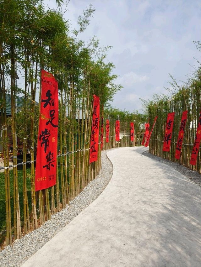 Bamboo Pathways and Calligraphy: A Serene Escape