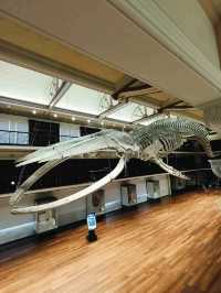 WA Museum Boola Bardip