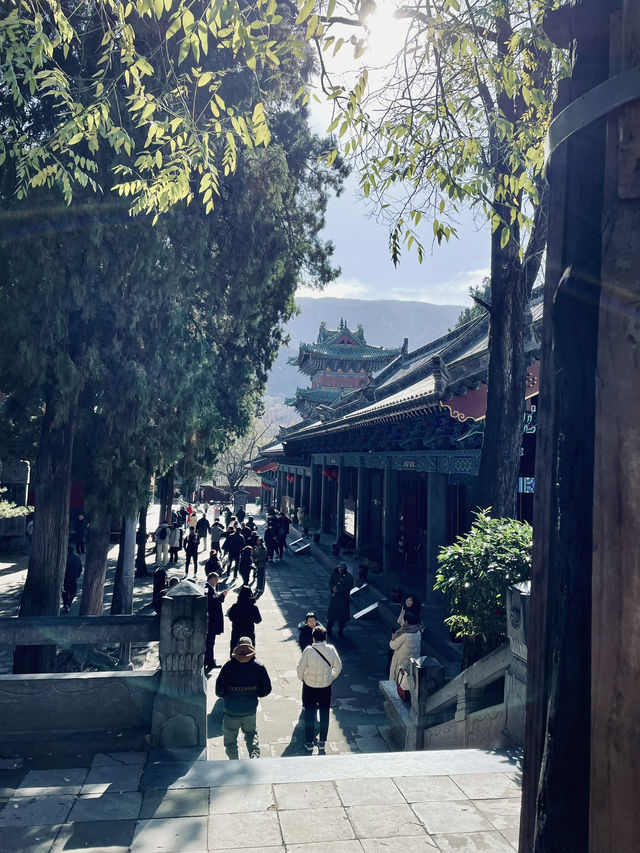 🇨🇳 Day Trip to Shaolin Temple: Where Kung Fu Legends Are Born