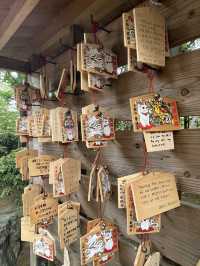貓奴必去打卡點-豪德寺
