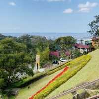 貓空漫遊-步道、美景與茶香的完美結合