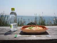 🍱 貓島 Lunch + 彩色小學 🐈
