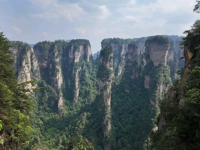 wulingyuan หุบเขาอวตาร
