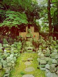 【神奈川県、鎌倉市最古の杉本寺で美しい苔の絨毯と観音様のお堂を参る】