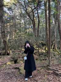 후지산 포토스팟, 죽음의숲 등 리뷰 🗻