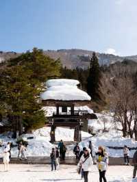 不要在名古屋後悔