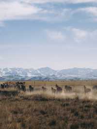 A Magical Autumn Journey Through Kazakhstan & Kyrgyzstan