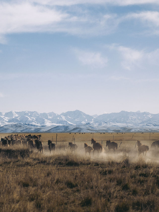 A Magical Autumn Journey Through Kazakhstan & Kyrgyzstan