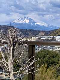 碧テラス〜ニュー八景園〜熱海梅園