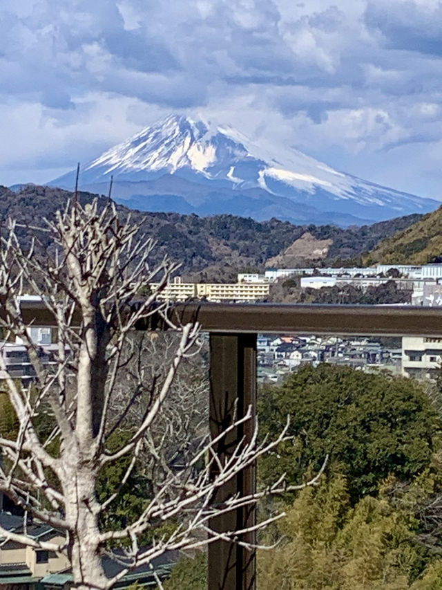 碧テラス〜ニュー八景園〜熱海梅園