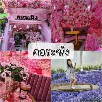 รวมคาเฟ่ภูเก็ต บรรยากาศดี ของหวานอร่อย